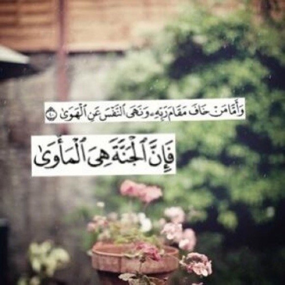 salma_mohamed